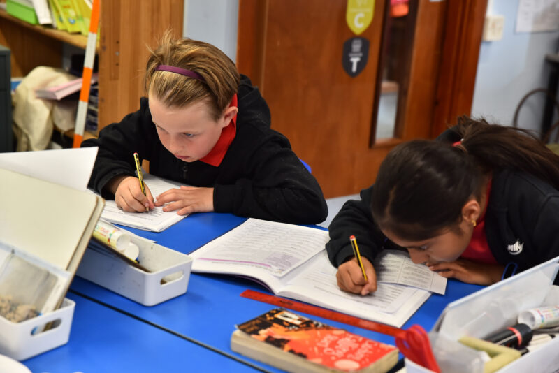 Curriculum Overview